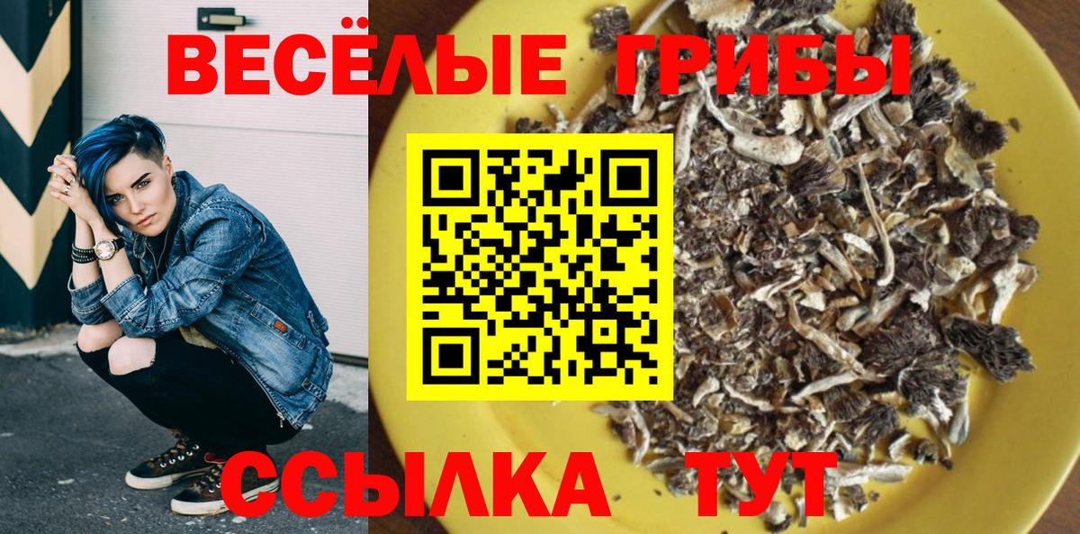 Галлюциногенные грибы GOLDEN TEACHER  Вход с VPN  Приморско-Ахтарск  Псилоцибиновые грибы мухоморы 