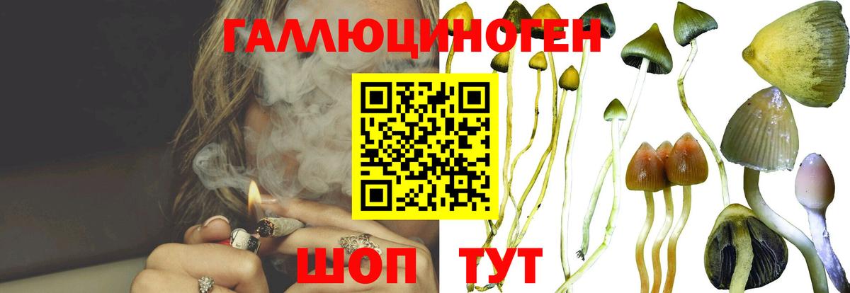 Псилоцибиновые грибы MAGIC MUSHROOMS Приморско-Ахтарск